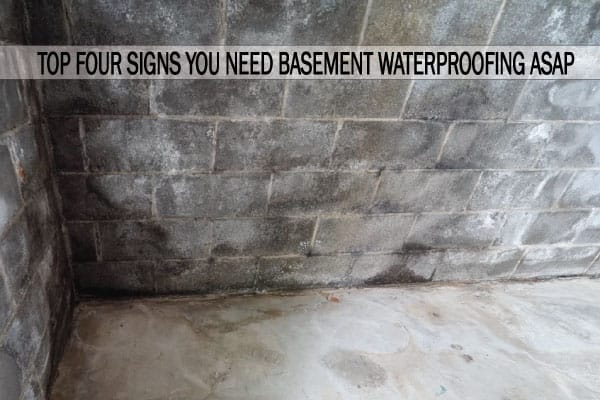 signs you need basement waterproffing asap